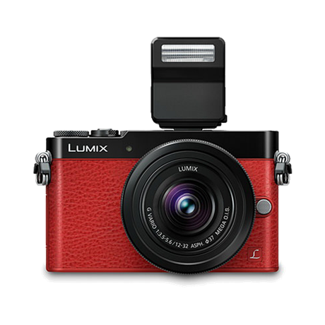LX100_2.png